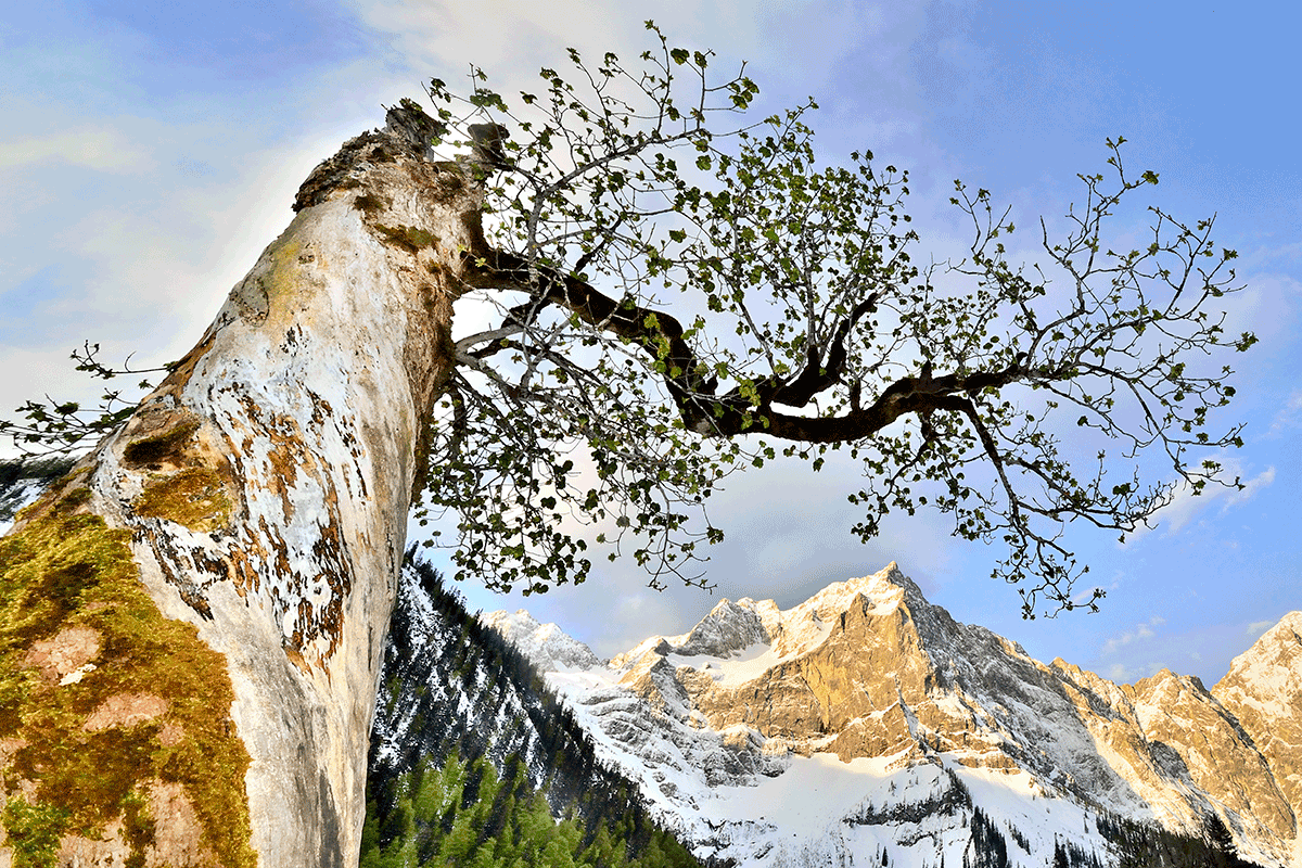 Naturpark Karwendel - Naturparke